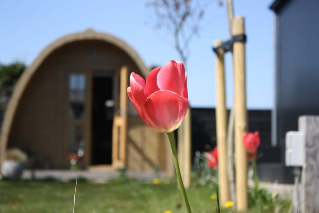 Camping Westeinder Vinkhoeve